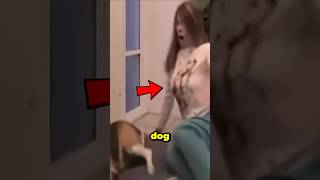 Dog Pooping On Me 😱💩 [upl. by Chuipek429]