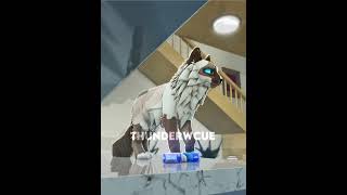 making cat breeds in wcue part 7 warriorcatsultimateedition wcue roblox trending [upl. by Enilec898]