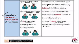 Chain Infection 2  Community Lec 3  Dr Amro Ashraf [upl. by Mindy126]