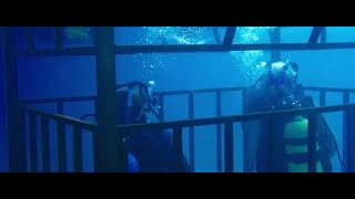 47 Meters Down 2017  Cage sinks 47 meters below the surface of water [upl. by Arreik398]