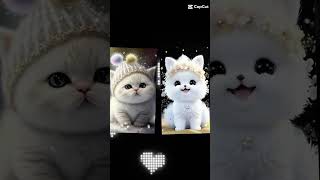 AI cute cats  beautiful cute cats  💫💫🤍🤍🤍🤍💫💫 [upl. by Urina]