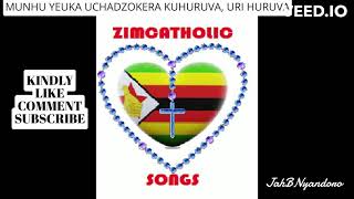 MUNHU YEUKA UCHADZOKERA KUHURUVA URI HURUVA [upl. by Joela]