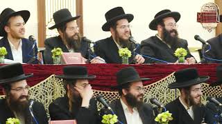 Gedolei Torah Engage in PilpulFarher with Shas Yiden  גדולי התורה בפלפולא דאורייתא עם שquotס אידן [upl. by Lamhaj]