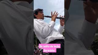 asi suena el clarinete en el porro colombiano🇨🇴🎷 colombia shorts clarinete [upl. by Rialcnis256]