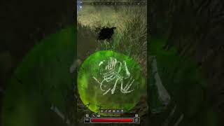 Finally Stumbled Upon The Rare Slime Ozzeling gaming darkanddarkerfunnymoments darkndarker [upl. by Iz]