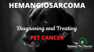 Natural Dog Remedies for Treating Hemangiosarcoma with The Natural Pet Doctor [upl. by Nebe]