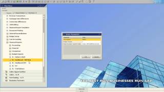 SAP Business One Demo [upl. by Meadows810]