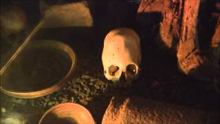 Elongated Skulls Of Cusco Peru Filming Out Of Bounds [upl. by Anuahs]