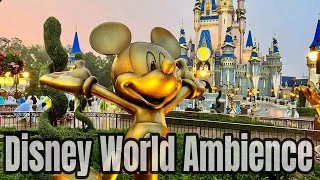 Disney World Ambience Magic Kingdom  Background Park Areas Ambience relaxing Music [upl. by Engdahl]