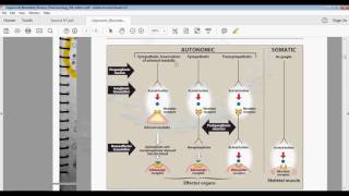 1 Muscarinic Agonist [upl. by Pelage]