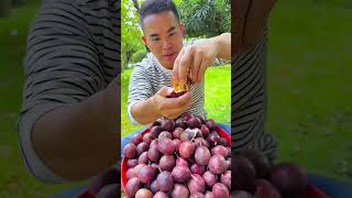 fruits farmer enjoy shorts new nature fruits garden vegetables foryou shortvideo [upl. by Aneehs]