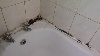 How to clean the grout between your wall tiles and revamp mouldy mastic [upl. by Ecila650]