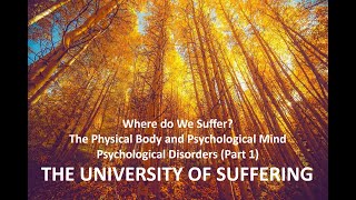 Psychological Disorders Part 1 [upl. by Puiia]