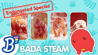 🌟NEW STEAM Lesson  Endangered Species amp Extinction [upl. by Shwalb20]