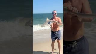 FOUR FOOT SHARK Caught Off the Delaware Shore Surf Fishing 🦈🤯 catchandrelease [upl. by Deyas]