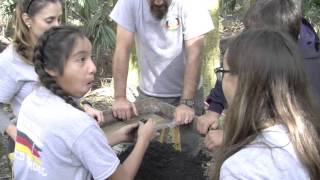 Brighton Seminole Reservation Archaeology Field School [upl. by Adiehsar975]