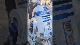 R2 D2 checking everyone out 2024 disney disneyland starwars galaxyedge r2d2 droid [upl. by Ettevy574]