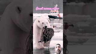 Polar Bear save a eagle l shortsfeed icebears rescuevideo viralshorts dropbear love helping [upl. by Horsey727]