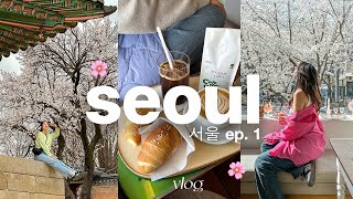 7 days in seoul 🌸 [upl. by Hamian]