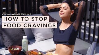 How To Stop Food Cravings  Dr Mona Vand [upl. by Haidabo]