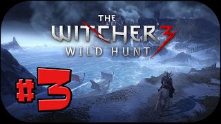 The Witcher 3  Parte 3  El diablo del Pozo Guía Completa [upl. by Aronoff]