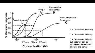 Receptor Binding Graph  Competitive amp Noncompetitive Antagonist Partial Agonist [upl. by Adnwahsal]