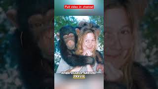 Story Of Charla Nash and Chimp Travizscaryscary horror spooky terrifying creepy [upl. by Eilliw]