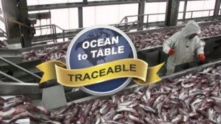 UniSea Ocean to Table Traceability [upl. by Lsil]