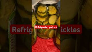 My 1st refrigerator pickles Thanks for watching everyone [upl. by Pryce]