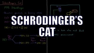 Quantum Chemistry 417  Schrodingers Cat [upl. by Demb]