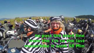 EuropeanBikeweek 2015 Part IV Harley Parade [upl. by Lisha]