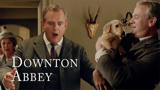 Lord Granthams New Puppy  Downton Abbey [upl. by Raviv752]