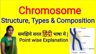 Chromosome  Structure and Types of Chromosome  Composition of Chromosome in Hindi  NEET [upl. by Tteraj]