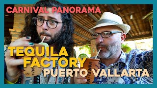 Carnival Panorama  Puerto Vallarta  Carnival Cruise Vlog Part 5 [upl. by Florine584]