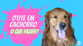 Otite em Cachorro [upl. by Rawna]