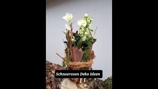 👉❄👈Schneerosen Deko Tipps Trends Ideen DIY Christrosen Winterrosen Helleborus👉❄👈 [upl. by Ariela]