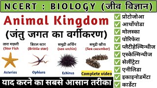 Animal Kingdom  जन्तु जगत का वर्गीकरण  Biology  Study vines official [upl. by Lairret200]