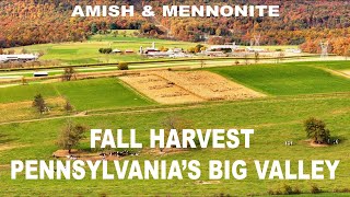 AMISHMENNONITE Fall Harvest in Pennsylvanias BIG VALLEY With Gorgeous Autumn Forest Backdrop [upl. by Poirer]