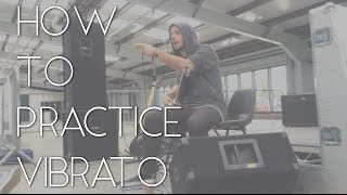 HOW TO PRACTICE VIBRATO ON GUITAR  UK Masterclass [upl. by Eirbua315]