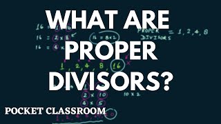 What Are Proper Divisors  Grade 6 [upl. by Siusan]