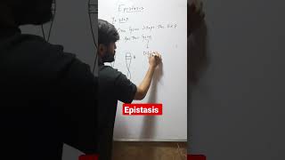 What is Epistasis in Genetics [upl. by Walston]