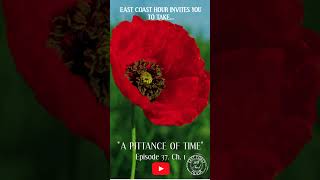 It Only Takes quotA Pittance of Timequot to Remember remembranceday veterans eastcoast [upl. by Aicatan]