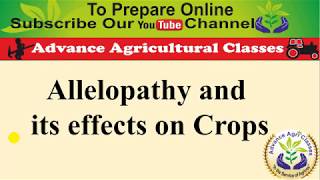 Allopathy and its effects on Crops [upl. by Ttihw]