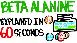 Beta Alanine Explained in 60 Seconds  Better Than Your Typical Supplement [upl. by Lerad615]