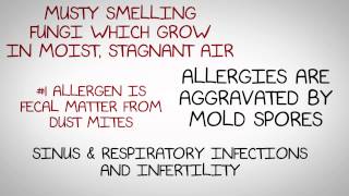 5 Danger Levels of Indoor Air Quality [upl. by Anaytat]