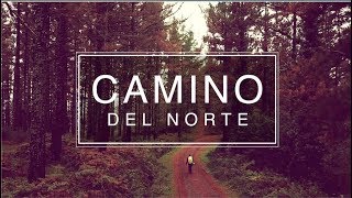 Camino Del Norte Guide  Episode 1 Days 15  835km Hike [upl. by Eihtur]