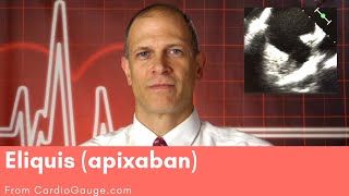 Eliquis apixaban Basics about this medicine its use effectiveness and side effects [upl. by Edsel288]