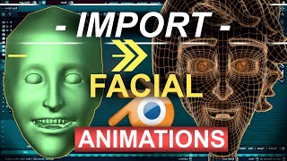 Import FACIAL Animations to BLENDER  Rokoko [upl. by Althea]