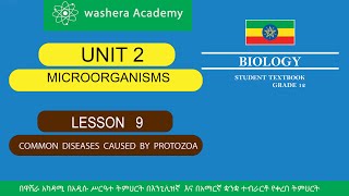 BIOLOGY GRADE 12 UNIT 2 LESSON 9 COMMON DISEASES CAUSED BY PROTOZOA [upl. by Snowber258]