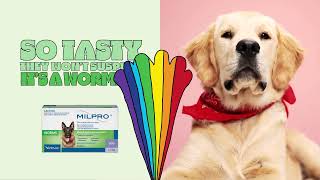 Milpro® Wormer for Dogs – So Easy [upl. by Dianuj600]